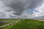 Groninger Waddendijk